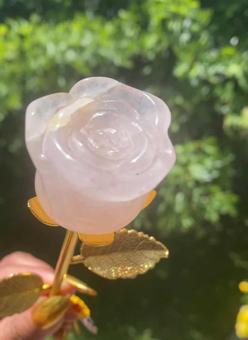 ROSE QUARTZ CARVED ROSE