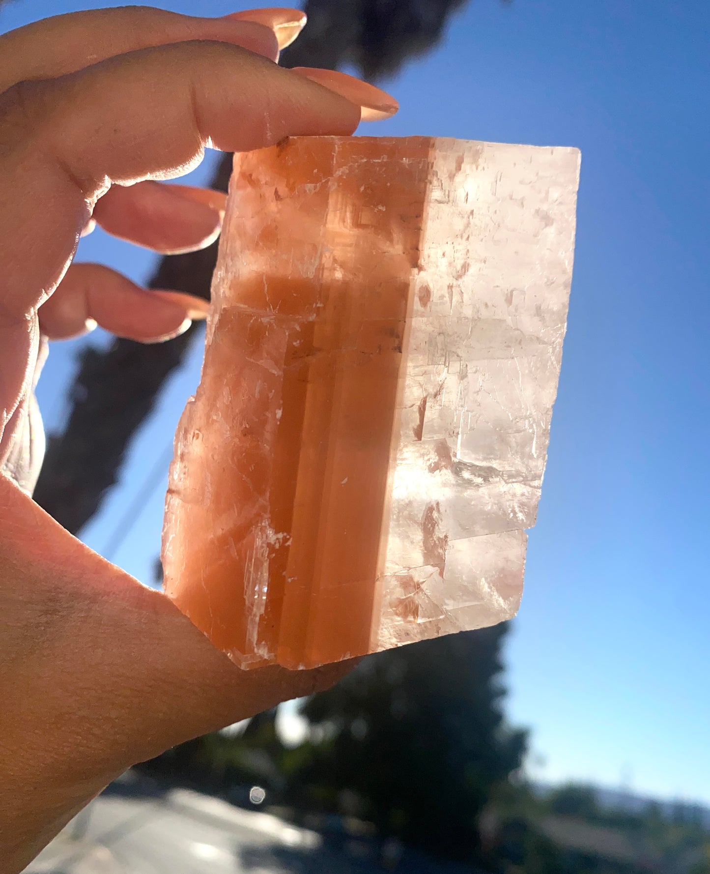 MS. CLARITY (RED N' WHITE OPTICAL CALCITE CHUNK)