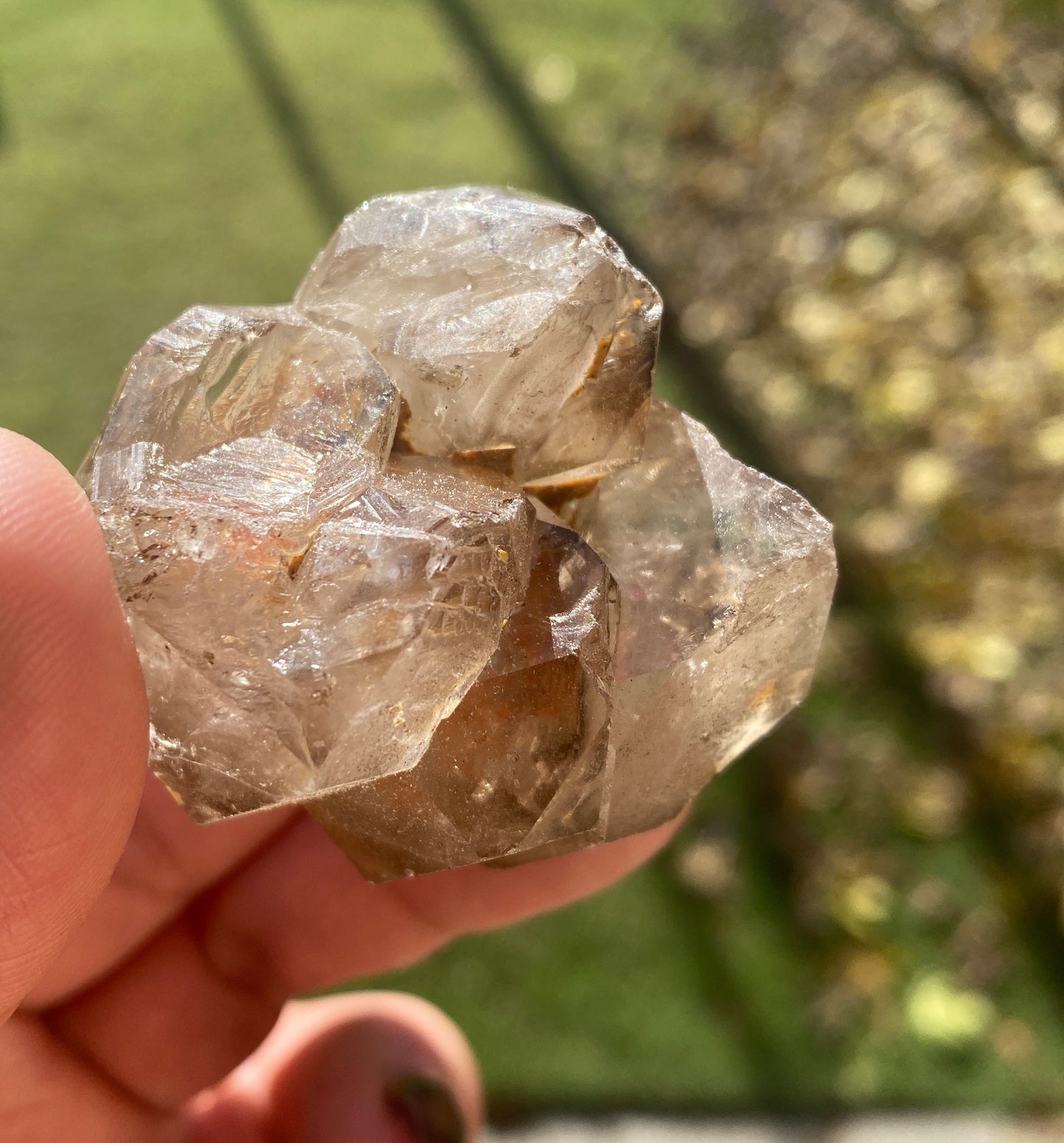 ALLIGATOR QUARTZ