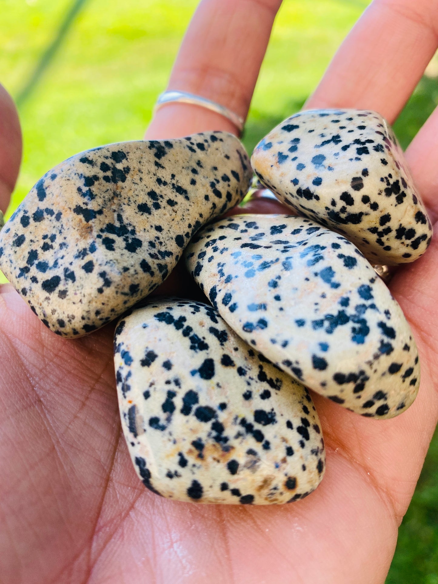 DALMATIAN JASPER POCKET PIECE