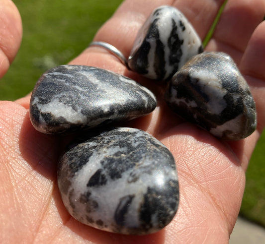 ZEBRA JASPER POCKET PIECE