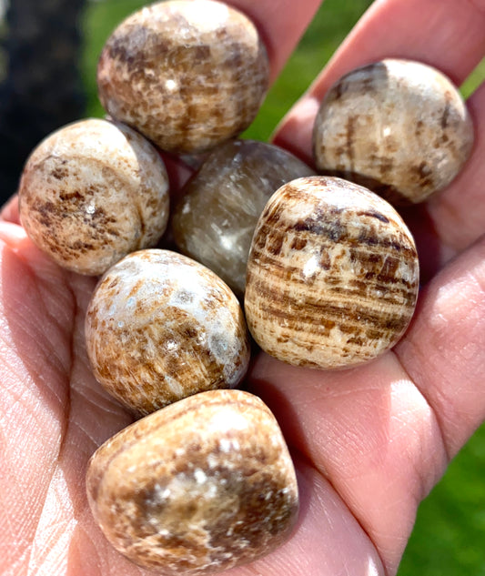 ARAGONITE POLISEHED POCKET PIECE