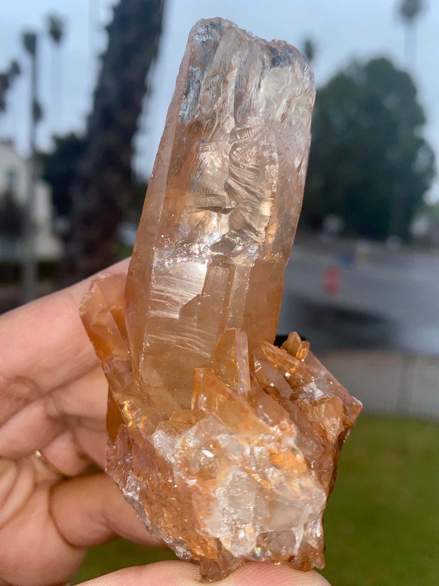 BELOVED (TANGERINE QUARTZ)