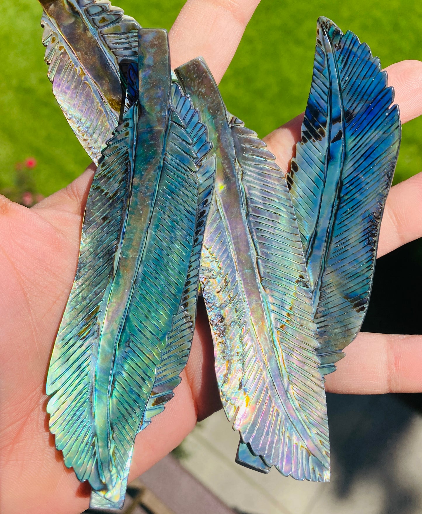 ABALONE FEATHERS