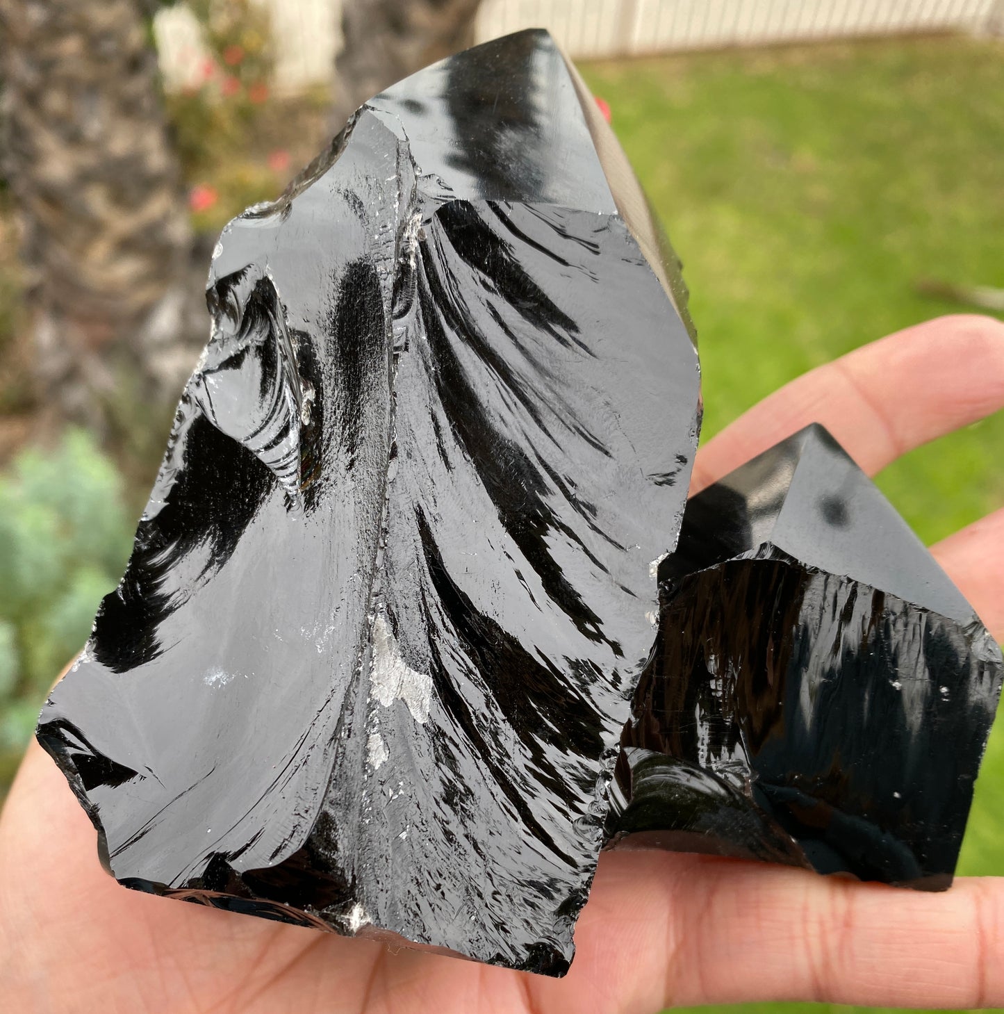 OBSIDIAN (DARK PHOENIX OR LA LUNA)